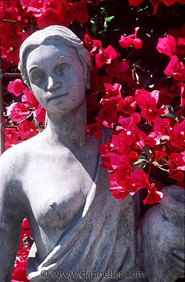 bougainvilleas-2.jpg