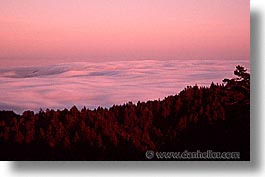 images/California/Marin/Fog/Rolling/pink-flowing-fog.jpg