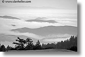 images/California/Marin/Fog/foggy-hills-4-bw.jpg