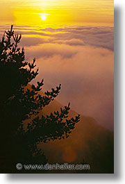 images/California/Marin/Fog/foggy-overlook-b.jpg