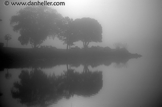 corte-madera-rvr-fog-trees-bw.jpg