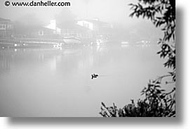 images/California/Marin/Greenbrae/foggy-river-ducks.jpg