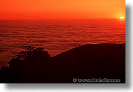 images/California/Marin/Headlands/MontereyPine/mont-pine-hikers-sunset.jpg