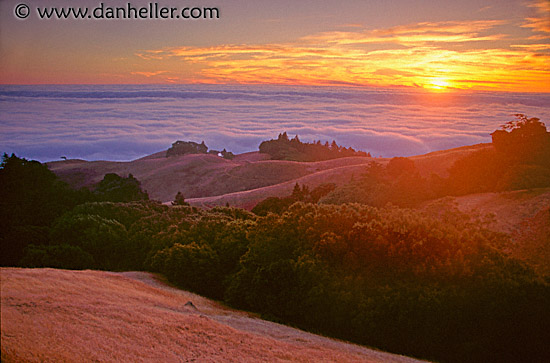 bolinas-lagoon-foggy-sunset.jpg