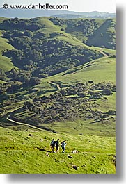 images/California/Marin/LucasValley/dog-hikers-hills-3b.jpg