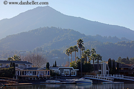 palm-trees-n-mt_tam-02.jpg