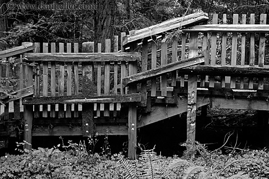 wood-fence-bw.jpg