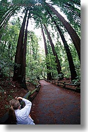 images/California/Marin/MuirWoods/jill-photographing-trees-3.jpg