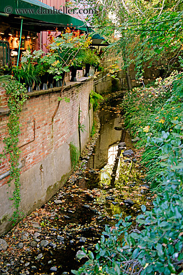 mill-valley-creek.jpg