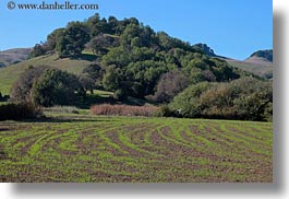 images/California/Marin/Novato/StaffordLakePark/farm-n-hills.jpg