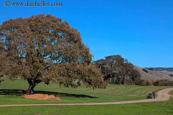 hikers-trees-n-hills-5.jpg