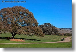 images/California/Marin/Novato/StaffordLakePark/hikers-trees-n-hills-5.jpg