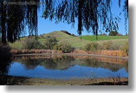 images/California/Marin/Novato/StaffordLakePark/pond-n-hill-w-branches.jpg