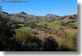 images/California/Marin/Novato/StaffordLakePark/trees-n-hills-8.jpg