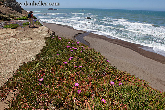 stream-thru-beach-to-ocean-02.jpg