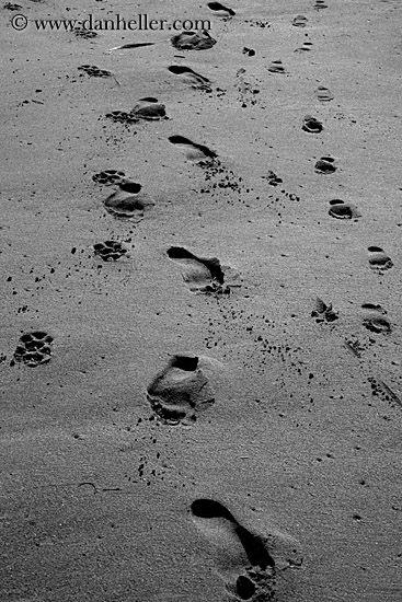 footprints-in-sand-2-bw.jpg