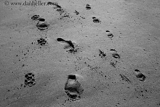 footprints-in-sand-3-bw.jpg