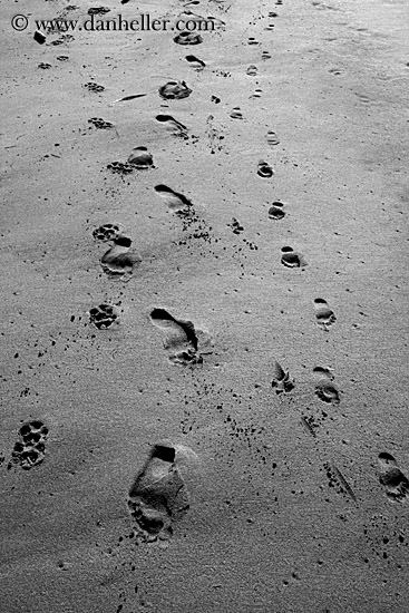 footprints-in-sand-4-bw.jpg