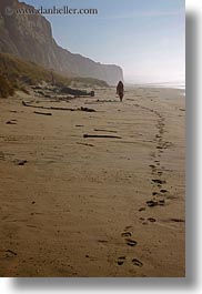 images/California/Marin/PtReyes/Beach/Footprints/footprints-leading-to-person-4.jpg