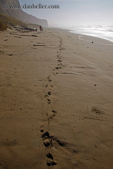 footprints-leading-to-person-5.jpg