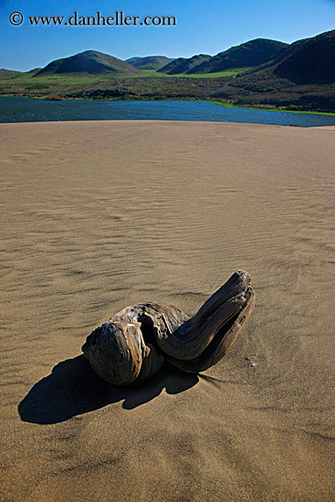 log-in-sand-2.jpg