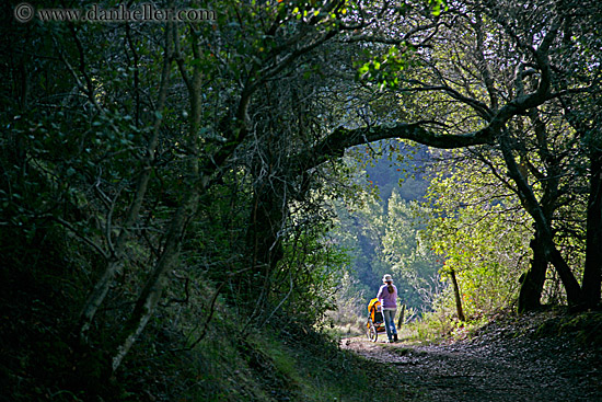 hikers-n-stroller-1.jpg