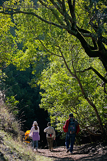 hikers-n-stroller-2.jpg