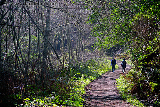 hikers-on-path-05.jpg