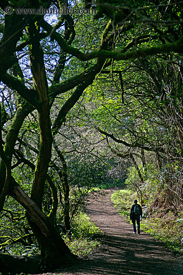 hikers-on-path-07.jpg