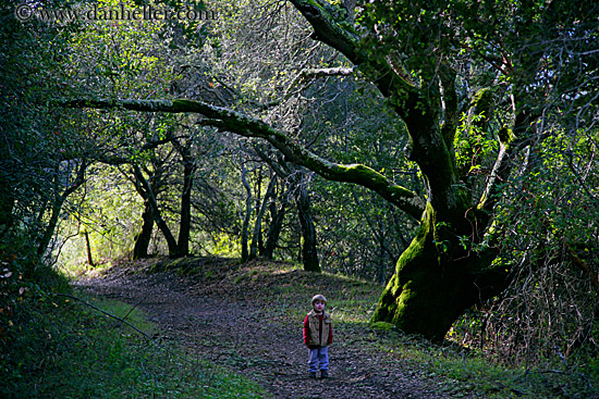 jack-hiking-2.jpg