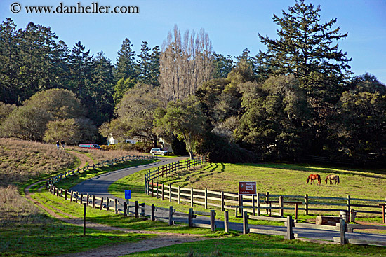 morgan-horse-ranch.jpg