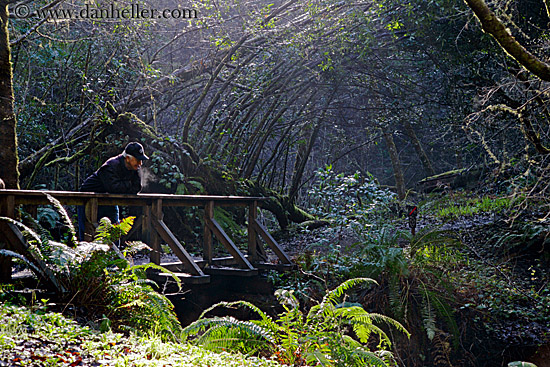 wood-bridge-in-forest-w-man.jpg