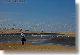 images/California/Marin/PtReyes/People/JackJill/jill-n-flying-seagulls.jpg