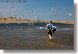 images/California/Marin/PtReyes/People/JackJill/jnj-n-seagulls-03.jpg