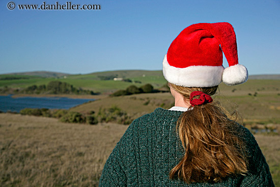 jill-in-santa-hat-w-cows-4.jpg