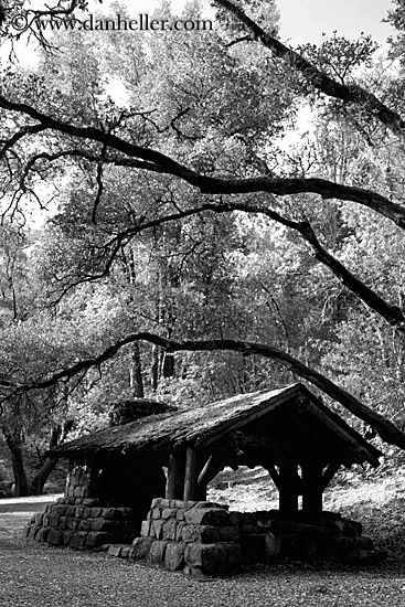 stone-n-wood-hut-n-branches-bw-03.jpg