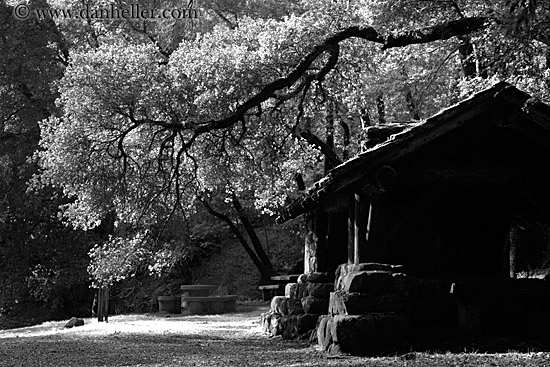 stone-n-wood-hut-n-branches-bw-05.jpg