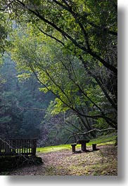 images/California/Marin/Ross/PhoenixLakePark/picnic-bench-n-trees-2.jpg