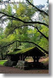 images/California/Marin/Ross/PhoenixLakePark/stone-n-wood-hut-w-arching-branches-1.jpg