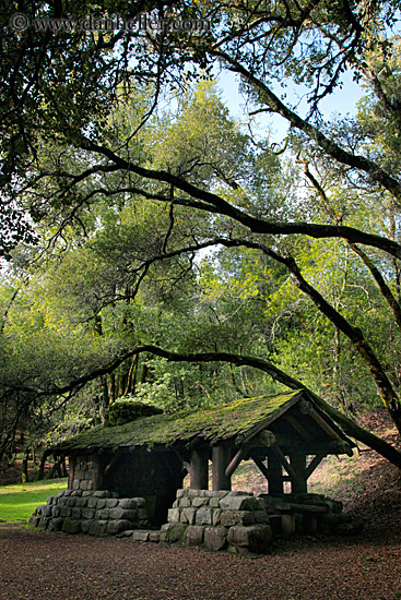 stone-n-wood-hut-w-arching-branches-2.jpg