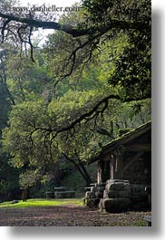images/California/Marin/Ross/PhoenixLakePark/stone-n-wood-hut-w-arching-branches-6.jpg