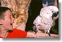 images/California/Marin/Sausalito/kid-parrot.jpg