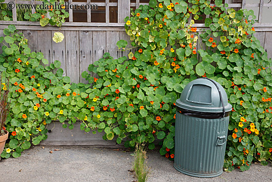 green-trash-can-n-flowered-ivy-2.jpg