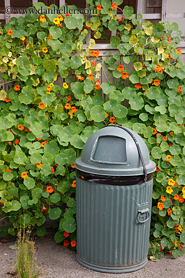 green-trash-can-n-flowered-ivy-3.jpg