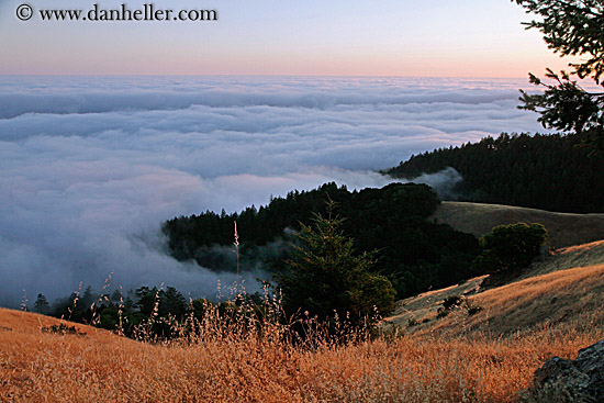 hills-n-fog-3.jpg