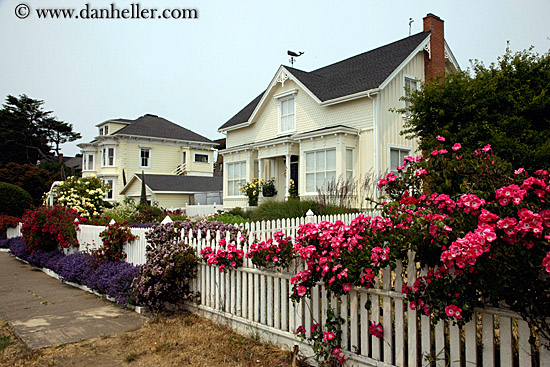 house-n-flowers-1.jpg