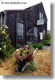 images/California/Mendocino/Buildings/wheel-barrow-w-flowers-n-barn.jpg