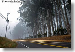 images/California/Mendocino/CarHeadlights/car-headlights-in-fog-2.jpg