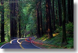 images/California/Mendocino/CarHeadlights/car-headlights-in-redwoods-06.jpg