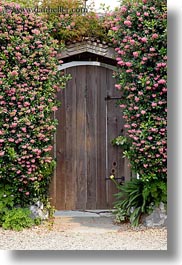 images/California/Mendocino/Flowers/flowers-n-door.jpg